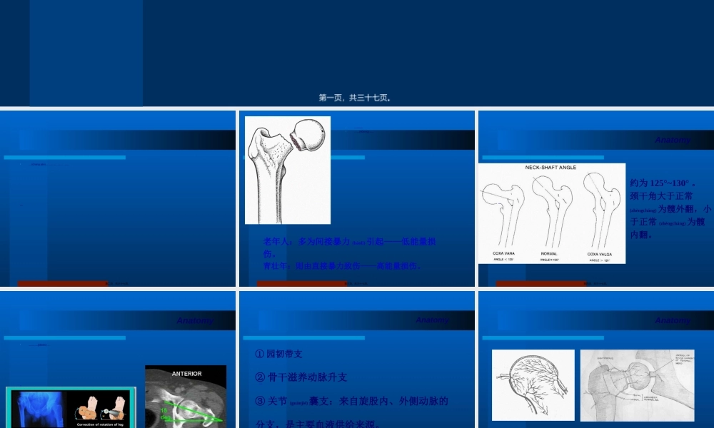 2022年医学专题—胡超华---股骨颈骨折详解(1).ppt