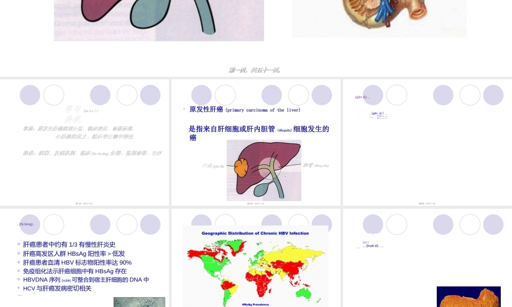 2022年医学专题—原发性肝癌-俞.ppt