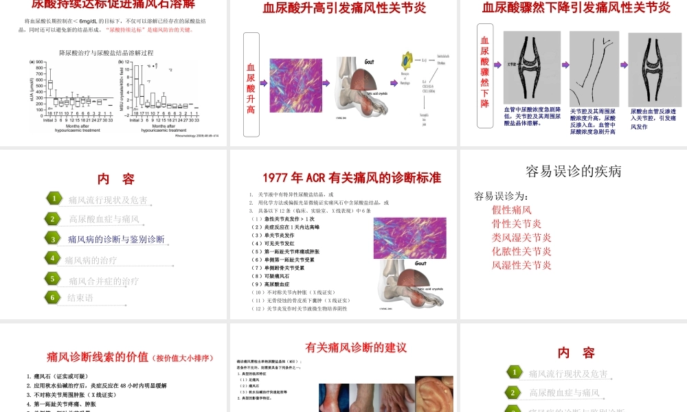 痛风病的现代认识-2.ppt