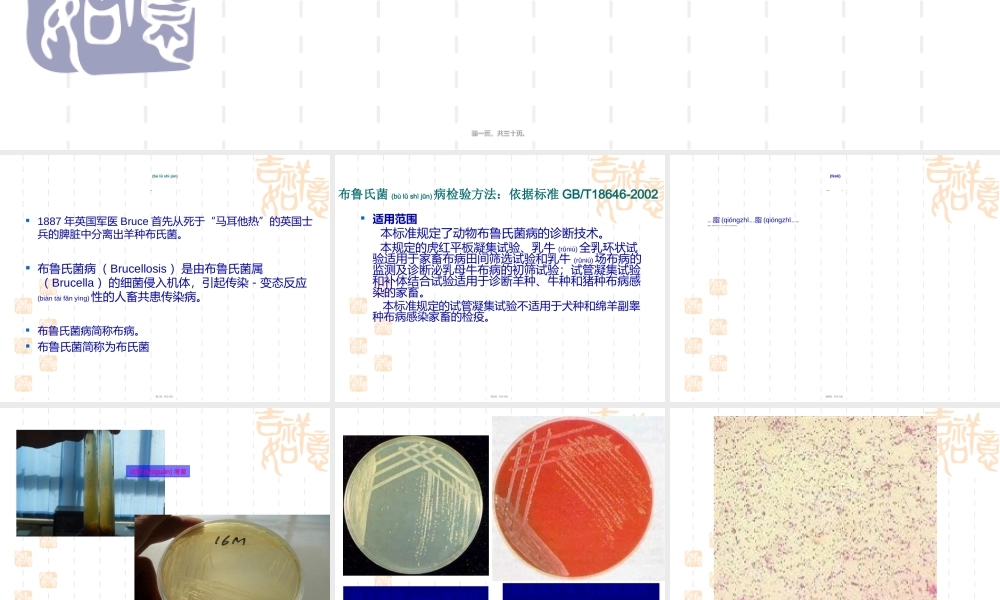 2022年医学专题—布病血清学检疫定稿.ppt