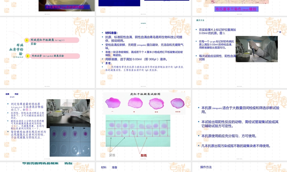 2022年医学专题—布病血清学检疫定稿.ppt