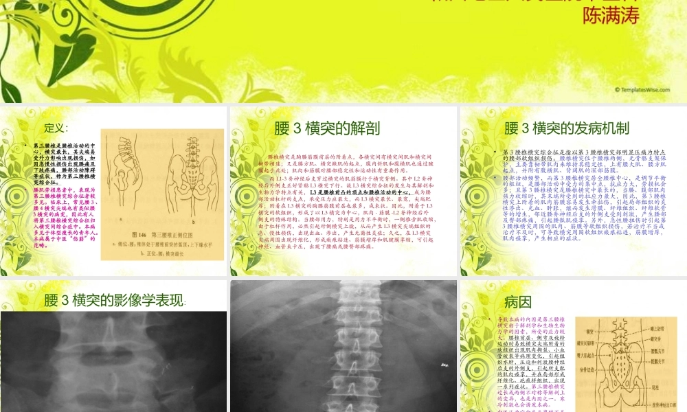 腰3横突综合症.ppt