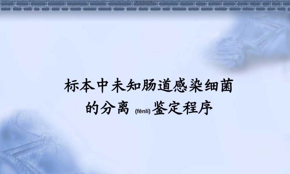 2022年医学专题—未知肠道杆菌的分离鉴定程序.ppt