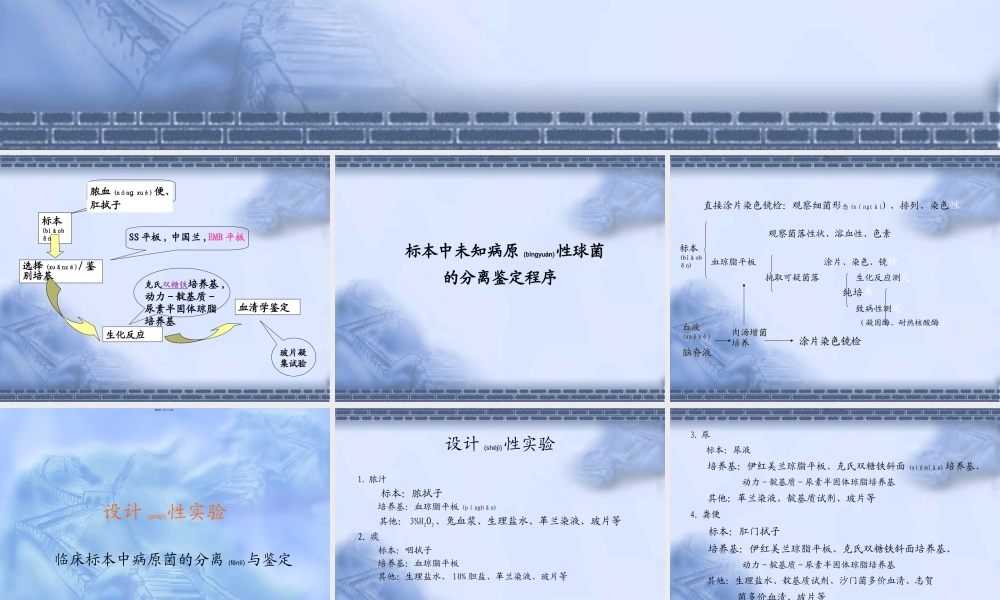 2022年医学专题—未知肠道杆菌的分离鉴定程序.ppt