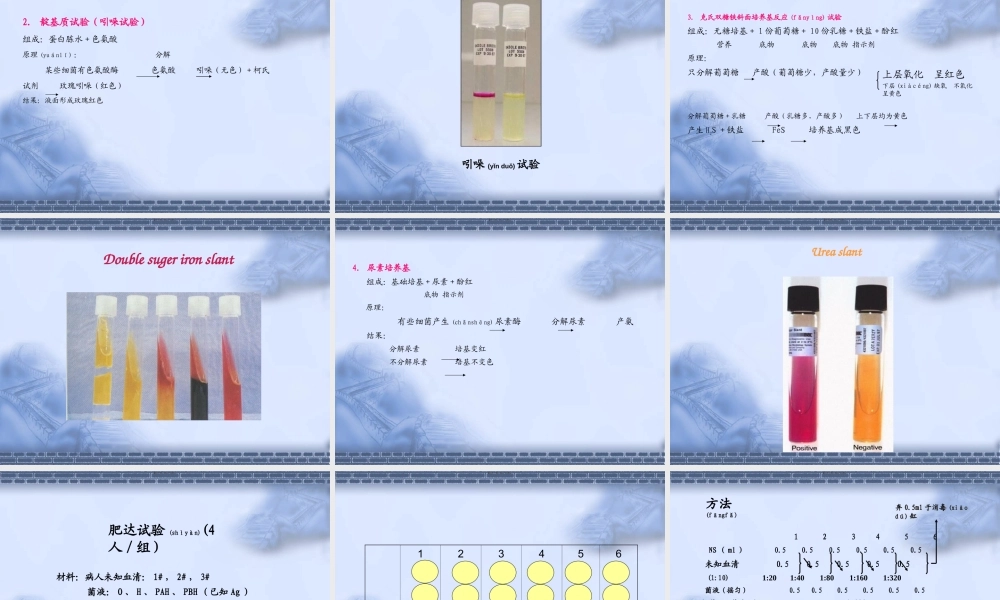 2022年医学专题—未知肠道杆菌的分离鉴定程序.ppt