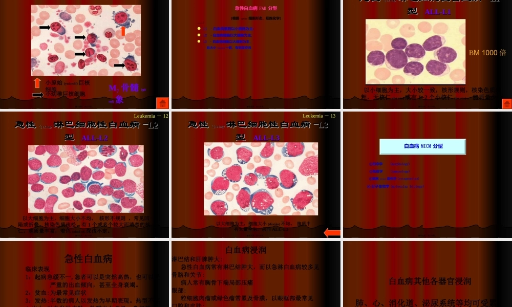 2022年医学专题—急性白血病化疗.ppt