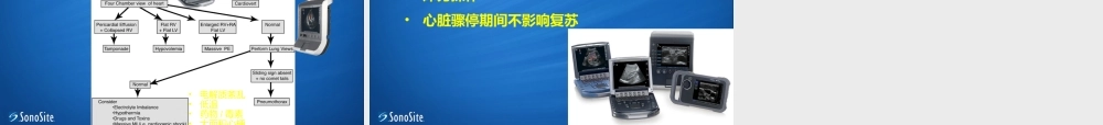 ICU-超声在心脏骤停应用.ppt