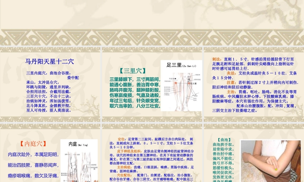 健康大讲堂—马丹阳天星十二穴.ppt