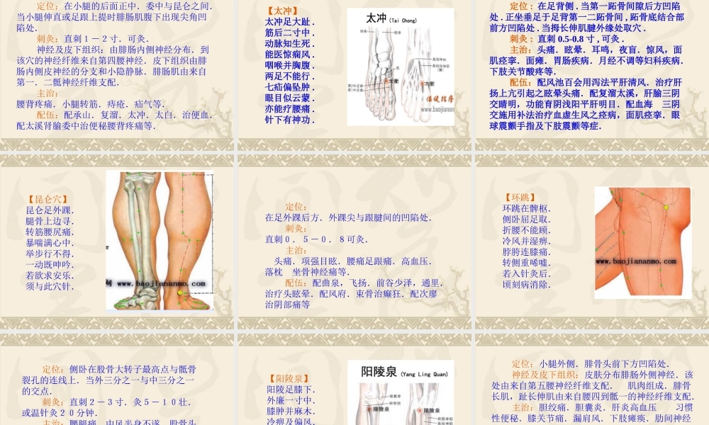 健康大讲堂—马丹阳天星十二穴.ppt