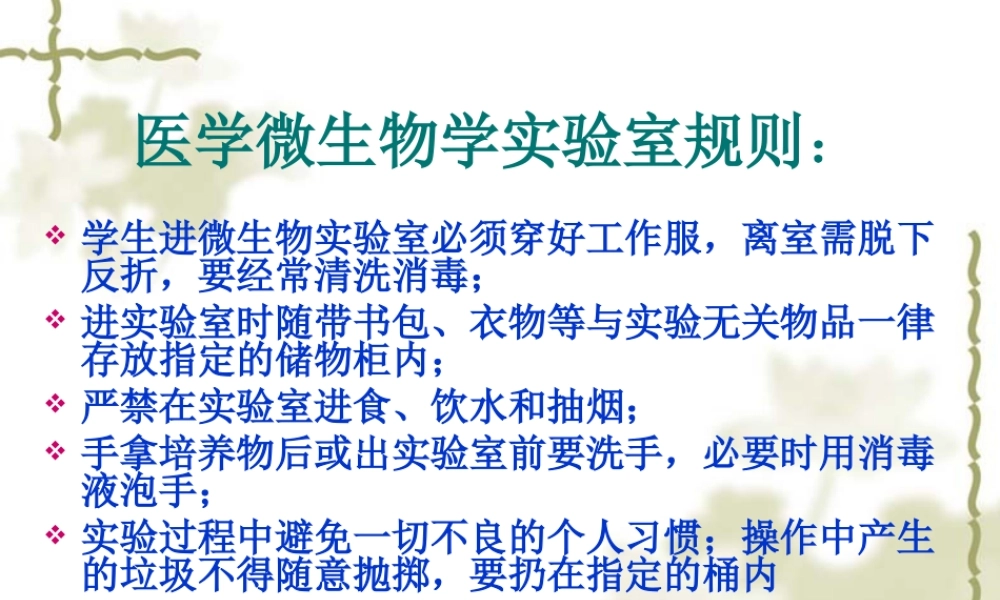 细菌形态学检查.ppt