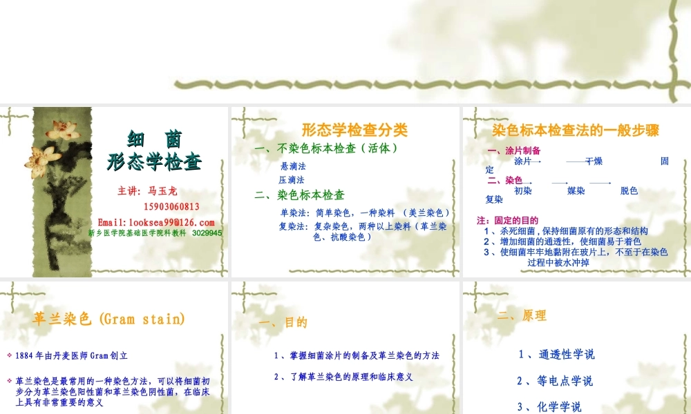 细菌形态学检查.ppt