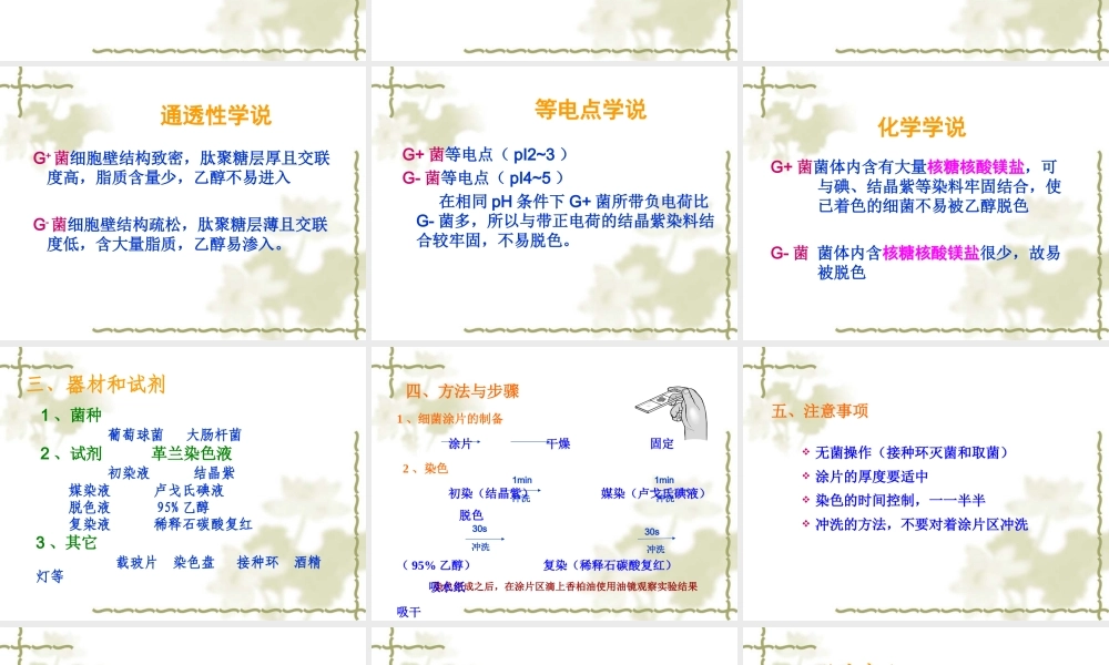 细菌形态学检查.ppt