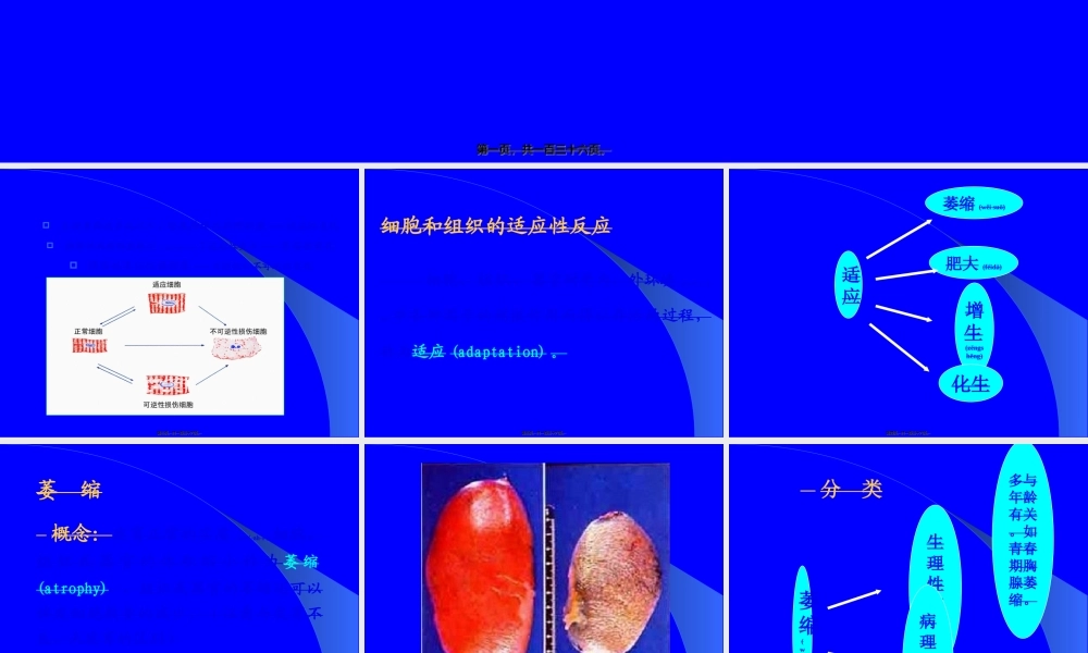 2022年医学专题—细胞组织损伤和修复.ppt