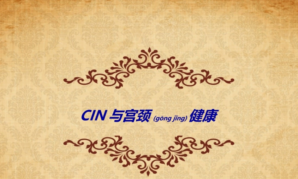 2022年医学专题—CIN与宫颈健康概要(1).ppt