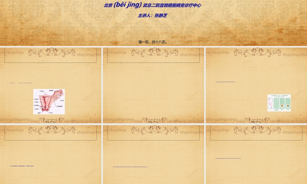 2022年医学专题—CIN与宫颈健康概要(1).ppt