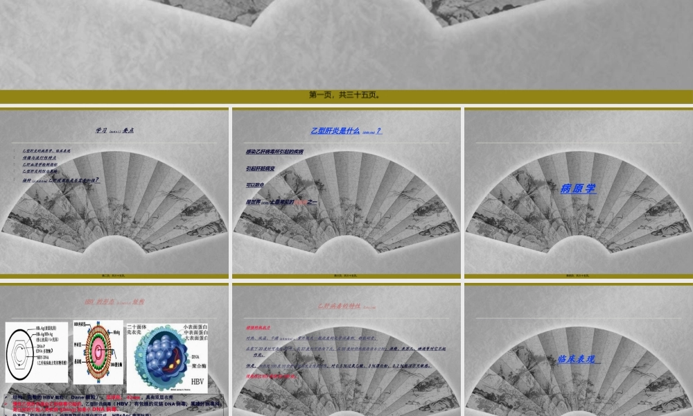 2022年医学专题—乙肝基本知识(1).ppt
