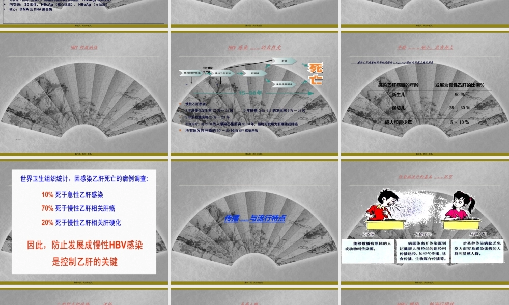 2022年医学专题—乙肝基本知识(1).ppt