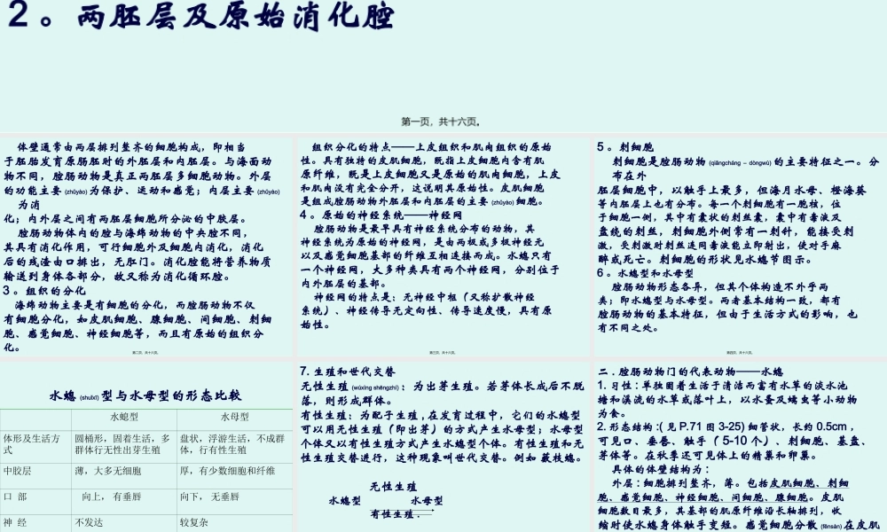2022年医学专题—腔肠动物门Coelenterala腔肠动物是真正后生动物开.ppt