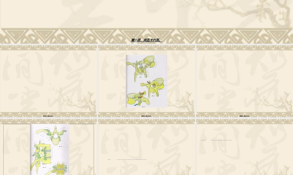 2022年医学专题—胸椎小关节紊乱.ppt