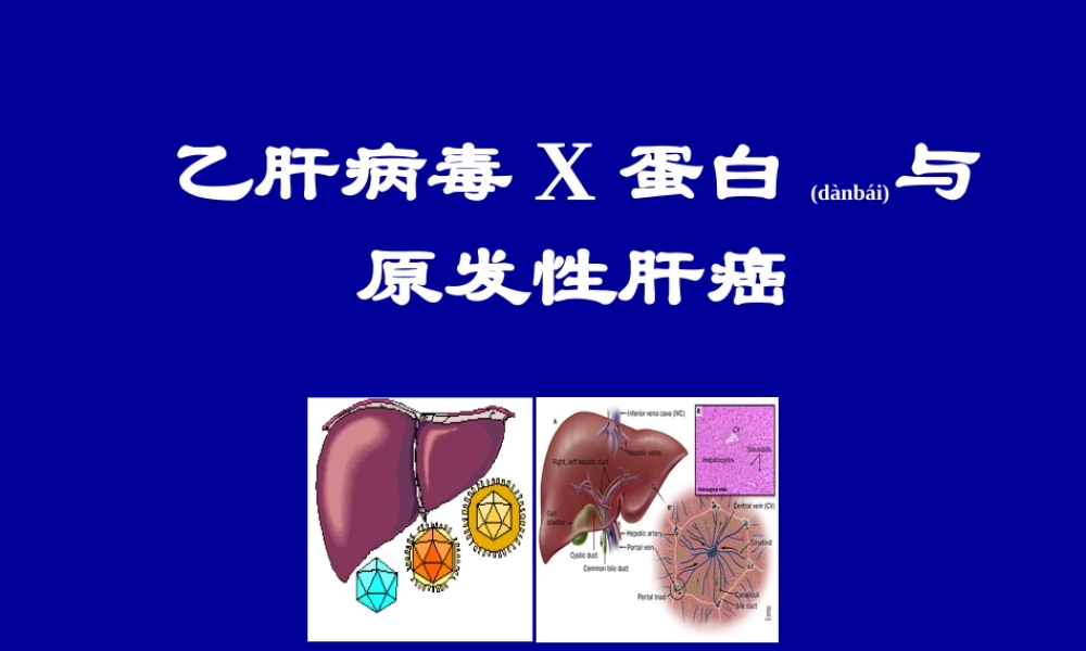 2022年医学专题—HBV-X-蛋白与原发性肝癌.ppt