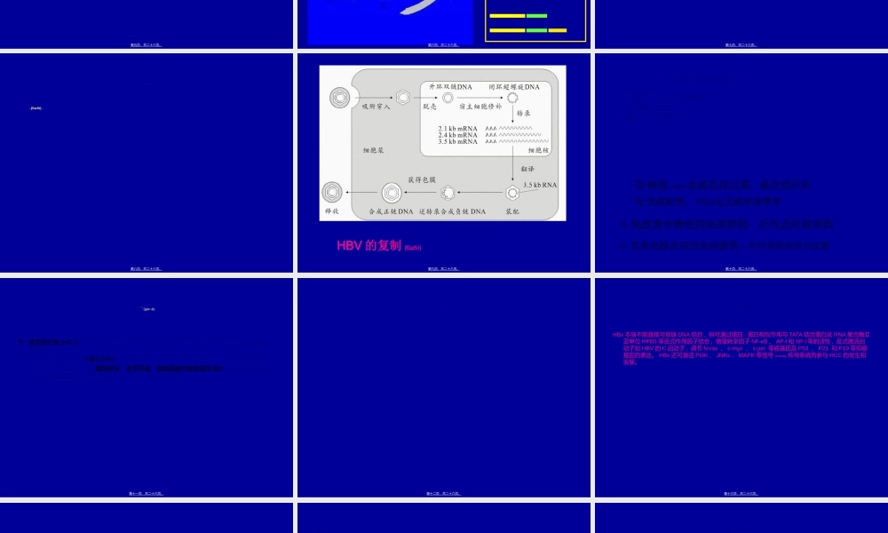 2022年医学专题—HBV-X-蛋白与原发性肝癌.ppt