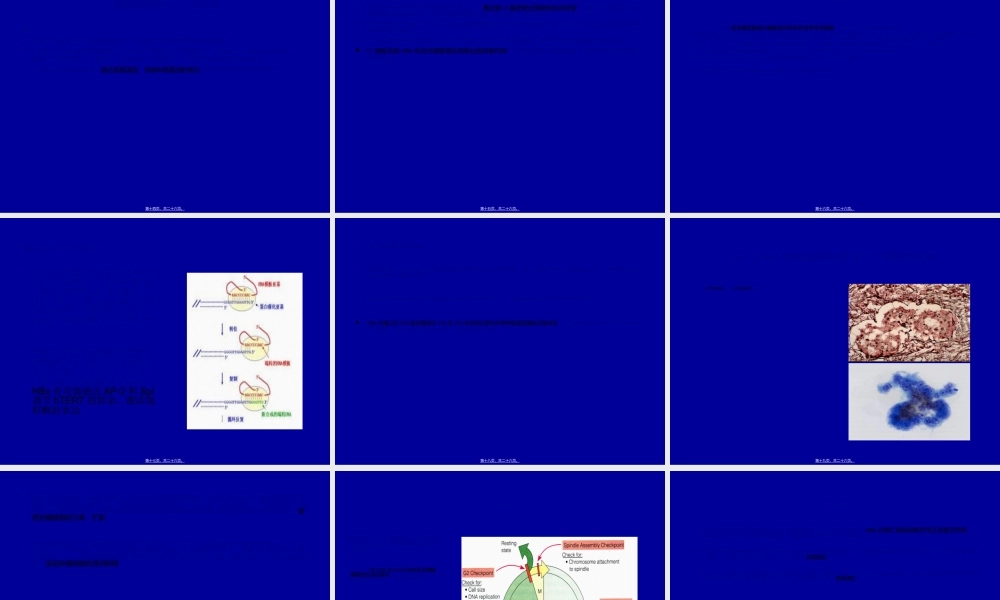 2022年医学专题—HBV-X-蛋白与原发性肝癌.ppt