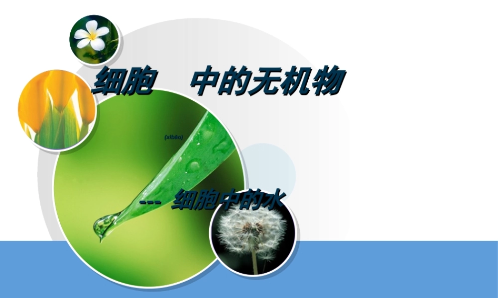 2022年医学专题—yml细胞中无机物.ppt