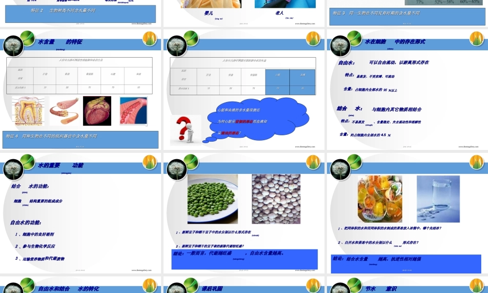 2022年医学专题—yml细胞中无机物.ppt