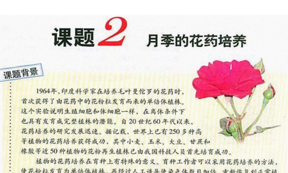 2022年医学专题—《月季的花药培养》zjc资料.ppt