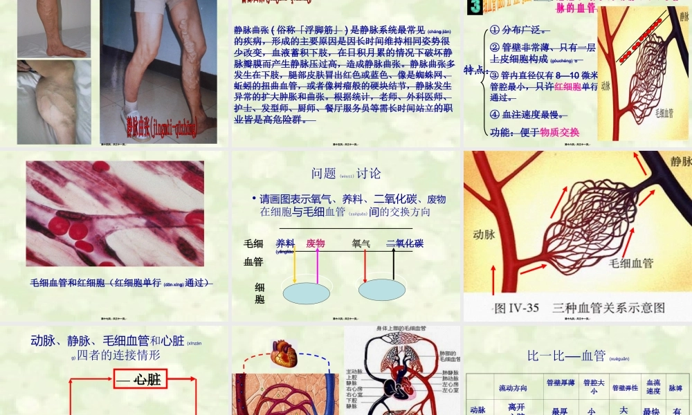 2022年医学专题—《血流的管道—血管》.ppt