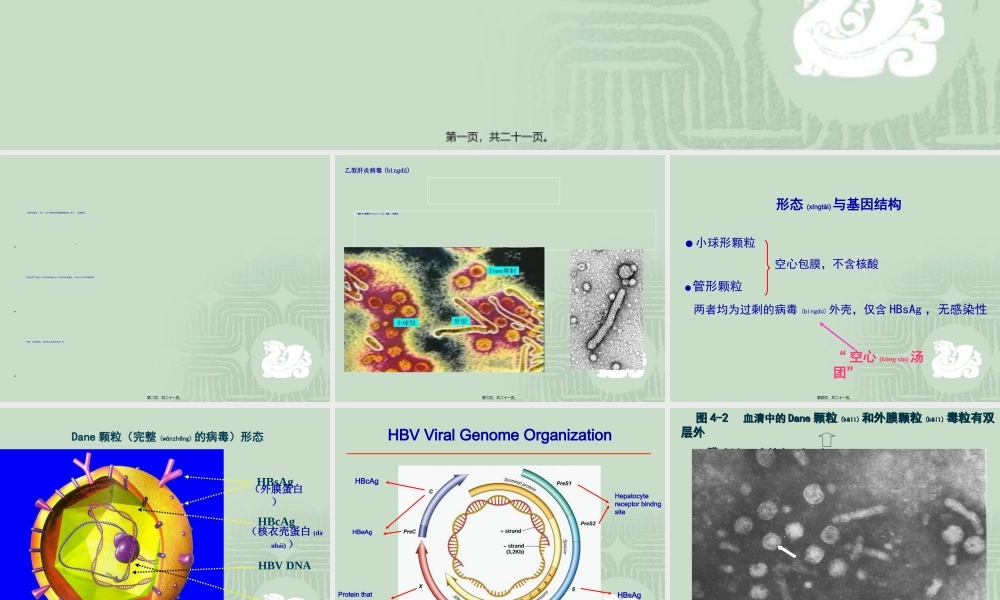 2022年医学专题—乙肝标志物检测.ppt