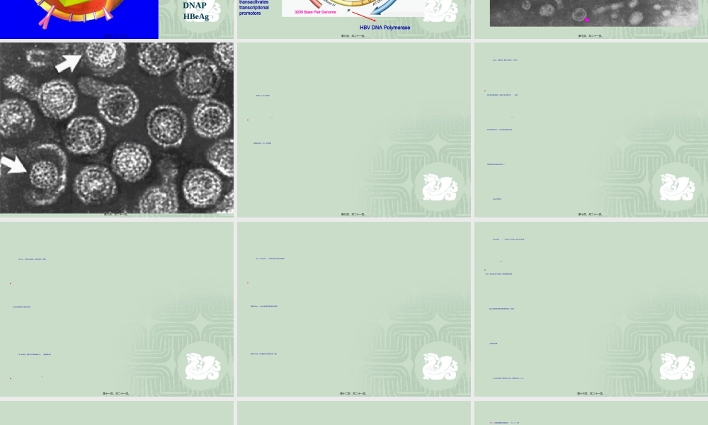 2022年医学专题—乙肝标志物检测.ppt