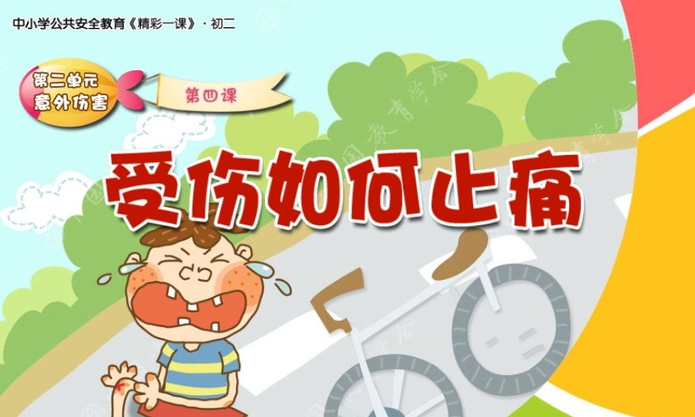 2022年医学专题—交流摔伤后如何止痛.ppt