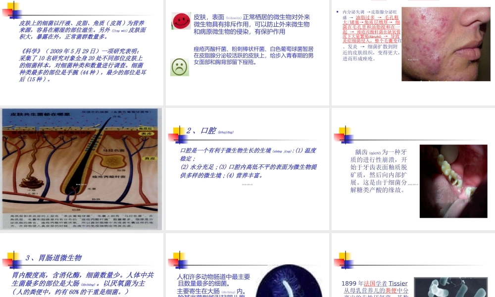 2022年医学专题—人体中的正常菌群概要.ppt