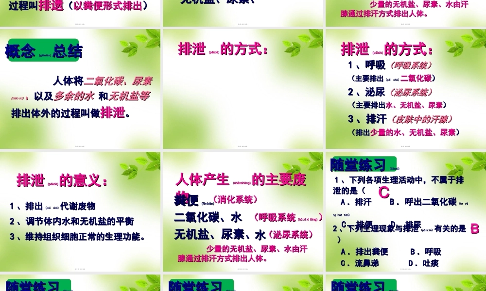 2022年医学专题—人体代谢废物的排出.ppt