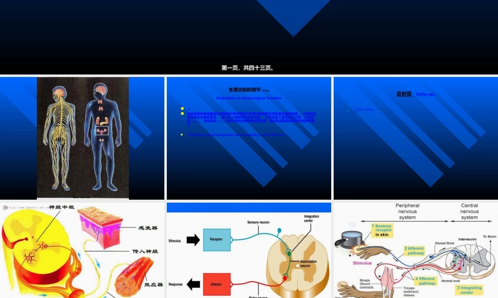 2022年医学专题—人体生理功能的调节(2013-5)资料.ppt