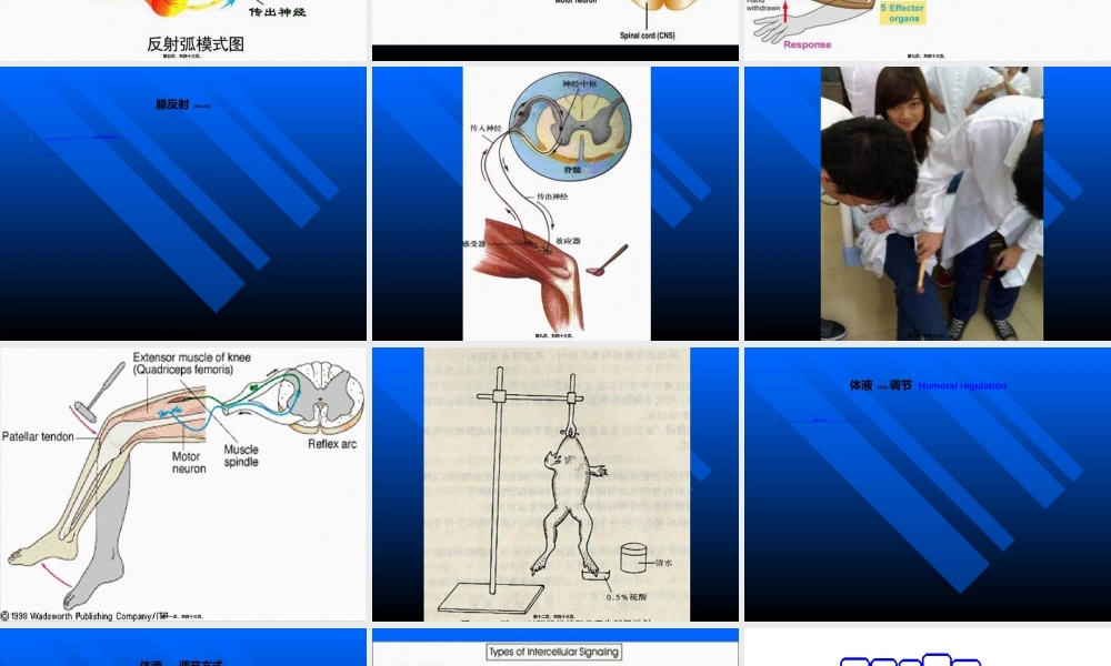 2022年医学专题—人体生理功能的调节(2013-5)资料.ppt