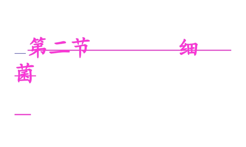 2022年医学专题—人教版八上《细菌》.ppt