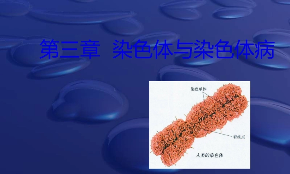 2022年医学专题—人类染色体与染色体病解读.ppt