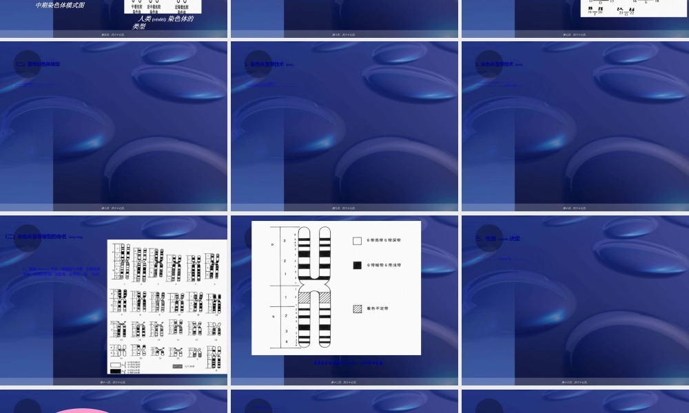 2022年医学专题—人类染色体与染色体病解读.ppt