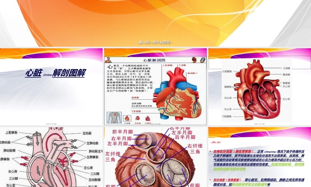 2022年医学专题—先心病概述及术后监护.ppt