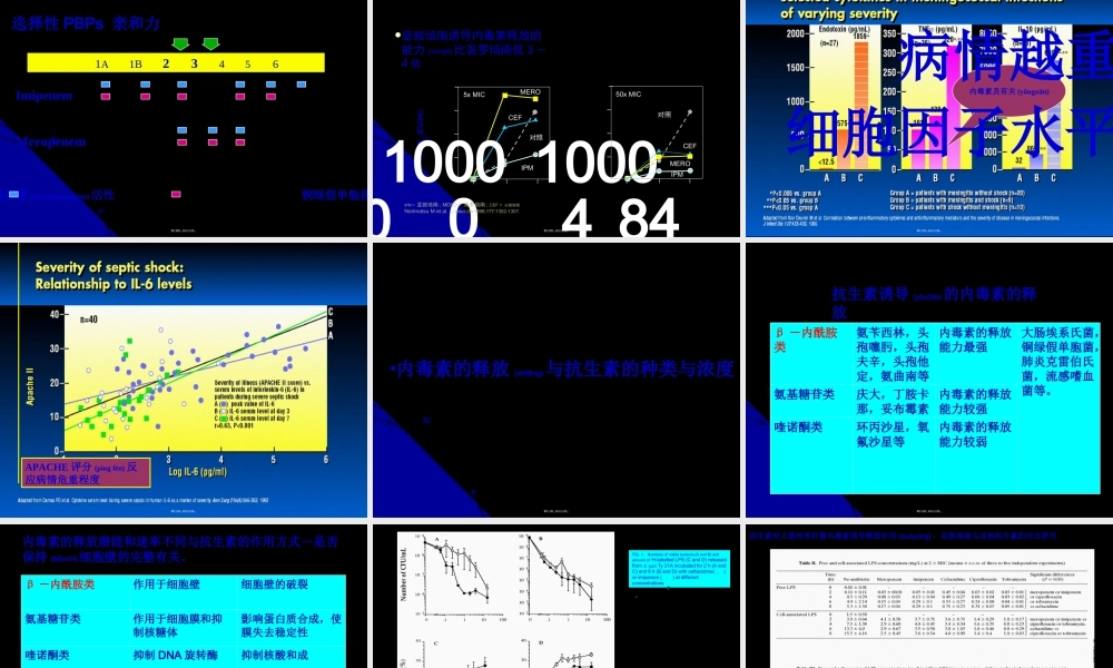 2022年医学专题—内毒素释放与抗生素.ppt