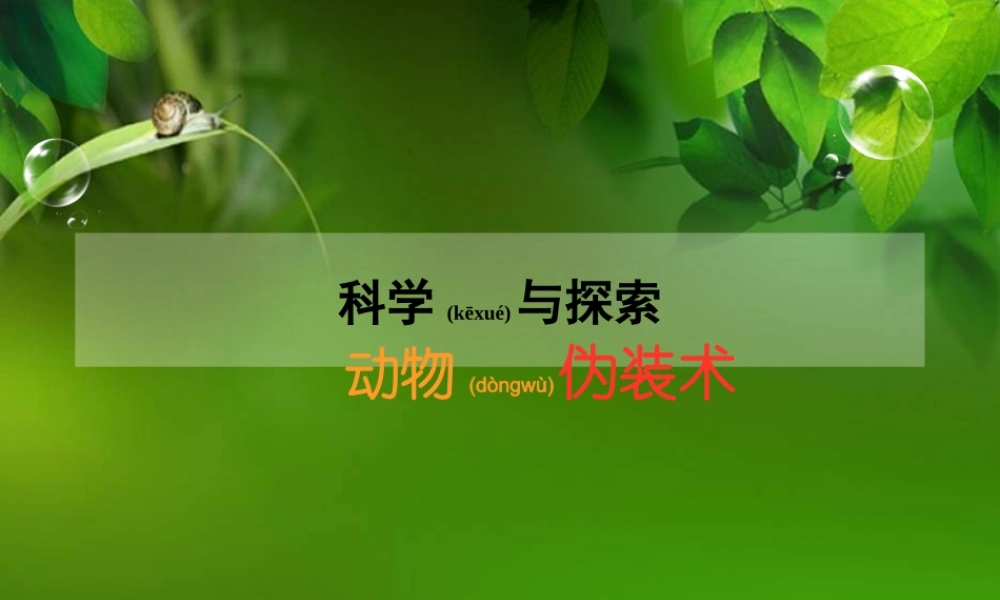 2022年医学专题—动物伪装术.ppt