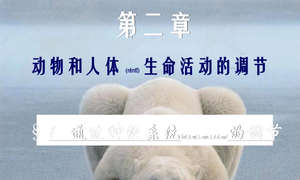 2022年医学专题—动物和人体生命活.ppt