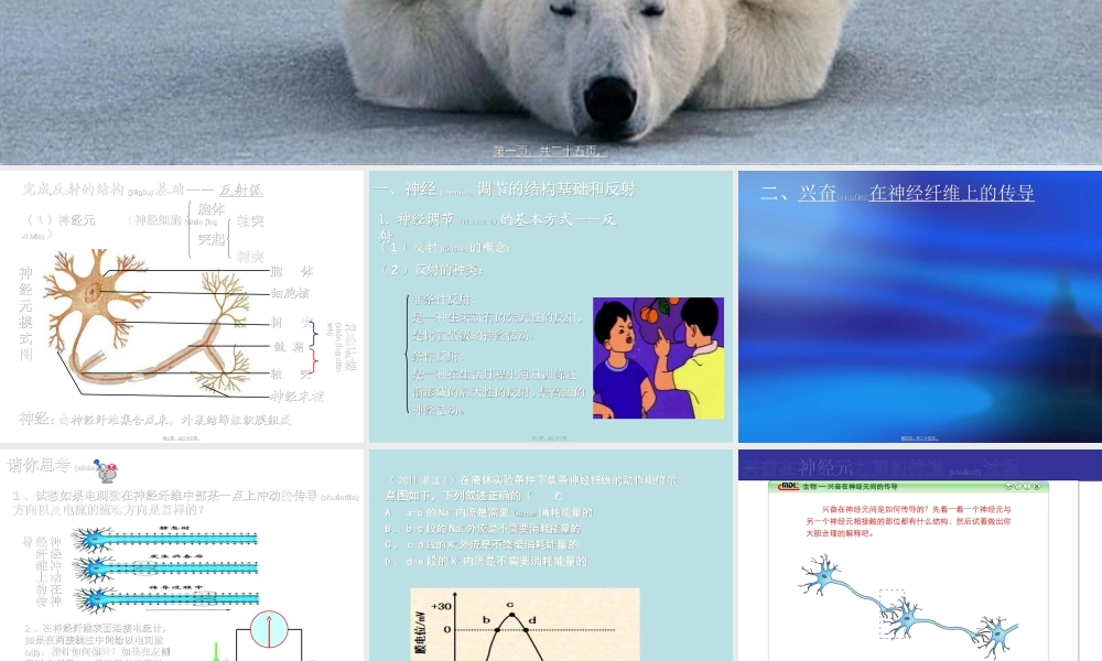 2022年医学专题—动物和人体生命活.ppt