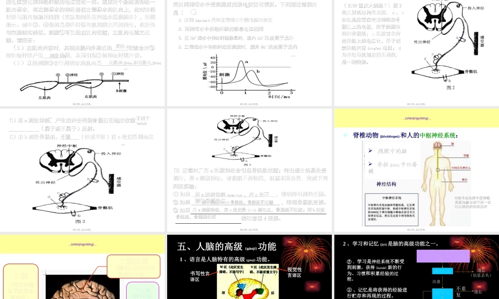 2022年医学专题—动物和人体生命活.ppt