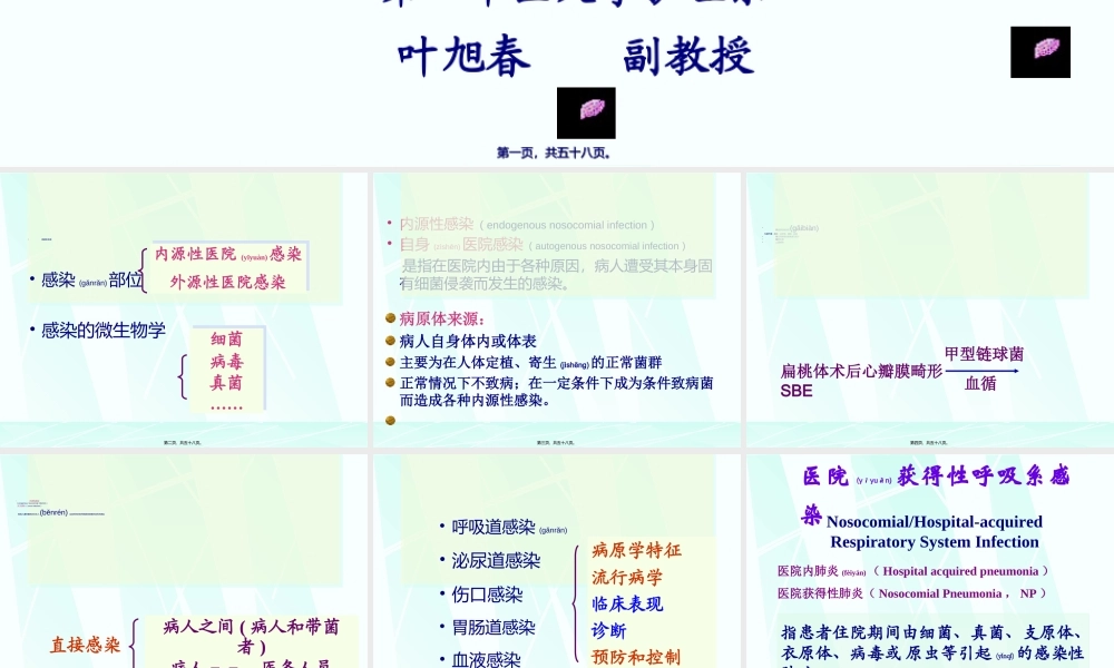 2022年医学专题—医院感染学-常见医院感染.ppt