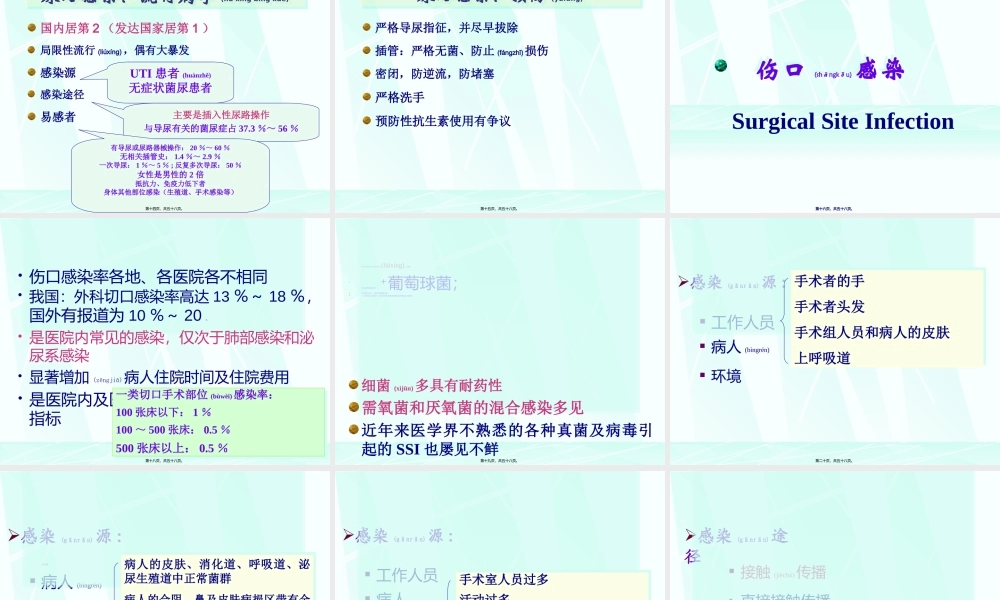2022年医学专题—医院感染学-常见医院感染.ppt