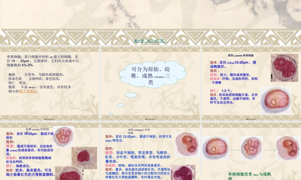 2022年医学专题—单核细胞.ppt