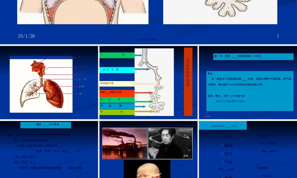 2022年医学专题—呼吸-1.ppt